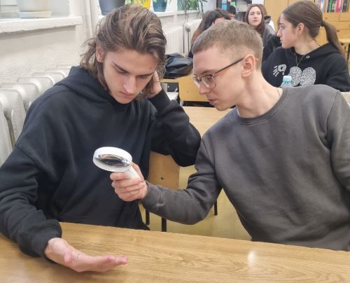 Równi w różnorodności